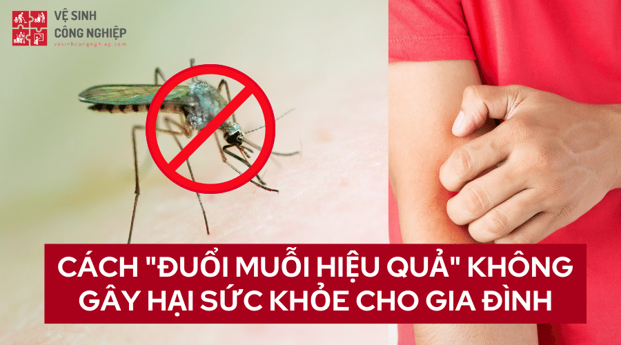 Cách đuổi muỗi hiệu quả, cách diệt muỗi tận gốc bảo vệ sức khỏe gia đình