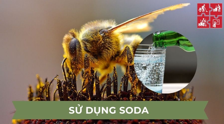 Cách dùng soda đuổi ong 