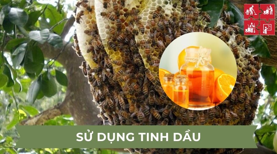 Sử dụng tinh dầu đuổi ong