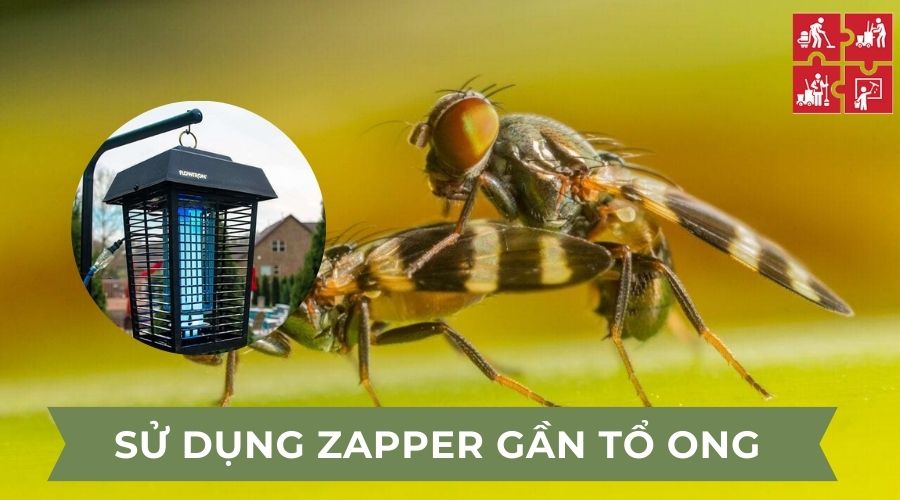Sử dụng Zapper gần tổ ong