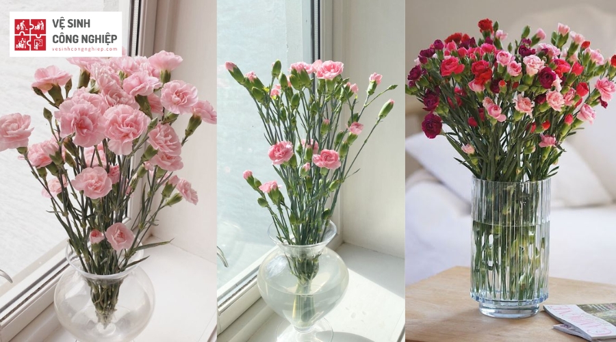 Một số mẫu cách cắm hoa bàn thờ - Hoa cẩm chướng