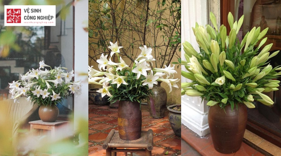 Một số mẫu cách cắm hoa bàn thờ - Hoa Loa Kèn