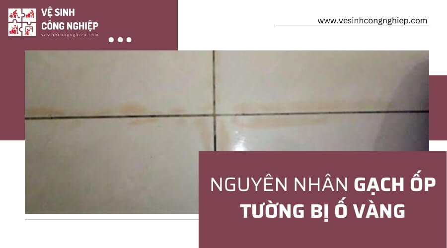 Nguyên nhân gạch ốp tường bị ố vàng