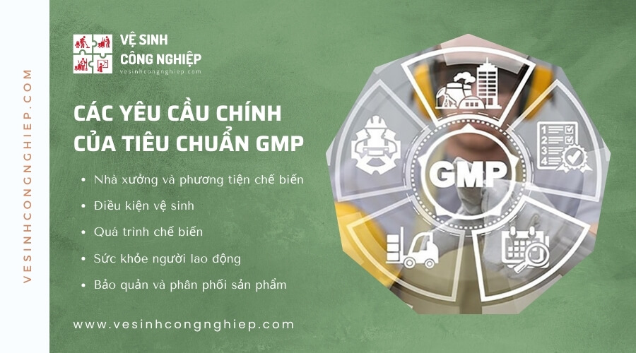 Các yêu cầu chính của tiêu chuẩn GMP