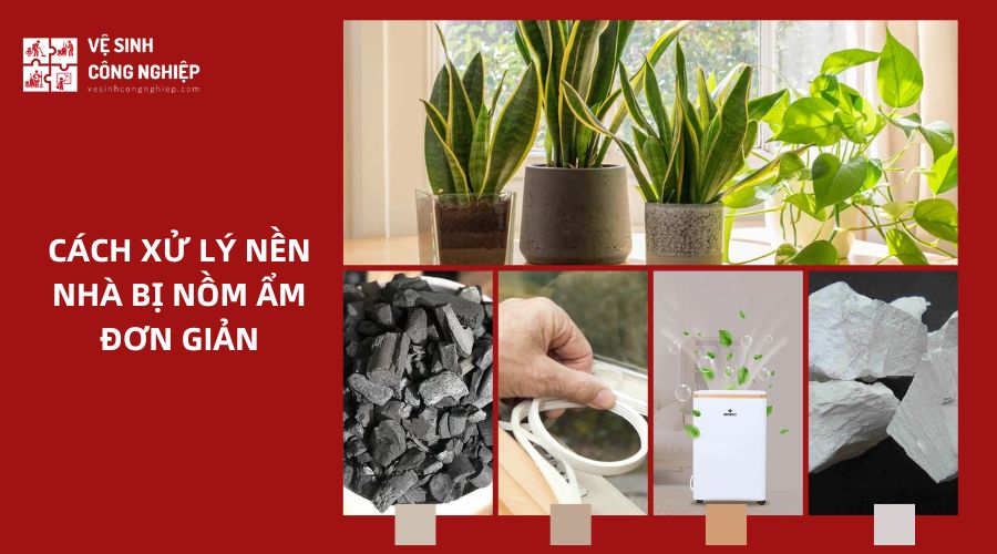 xử lý nền nhà bị ẩm 