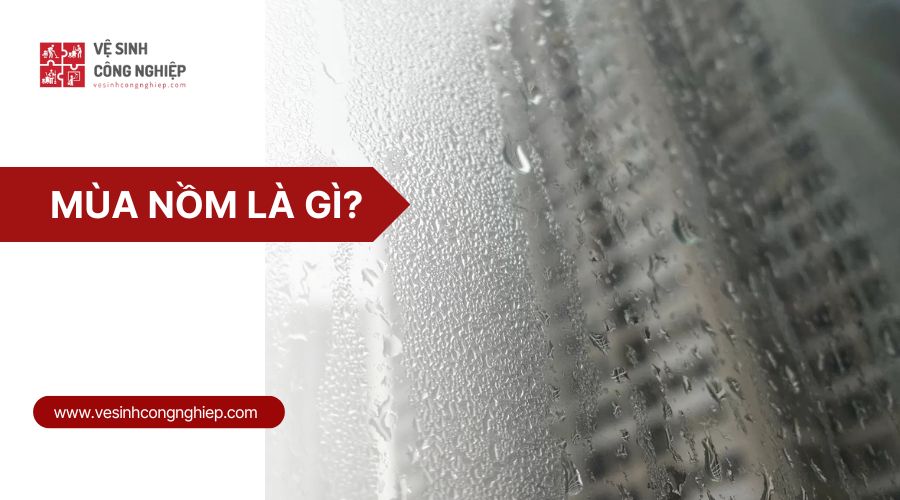mùa nồm ẩm là gì