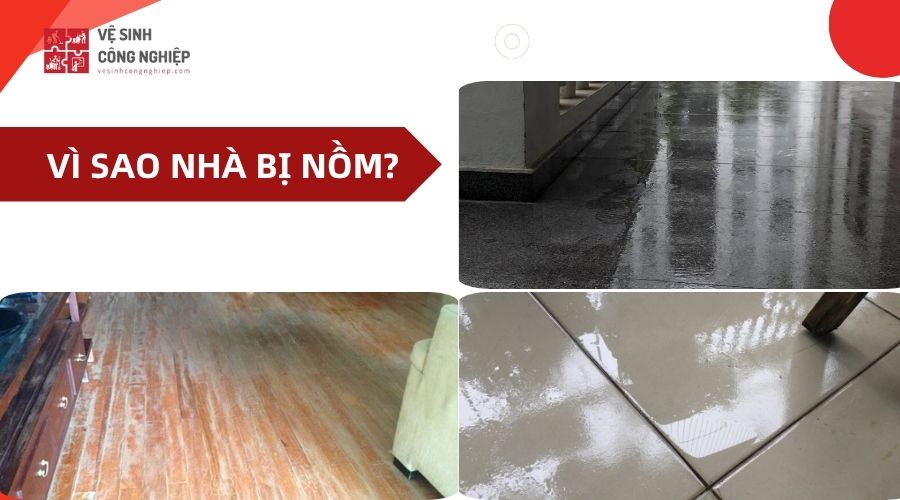 vì sao sàn nhà bị nồm ẩm