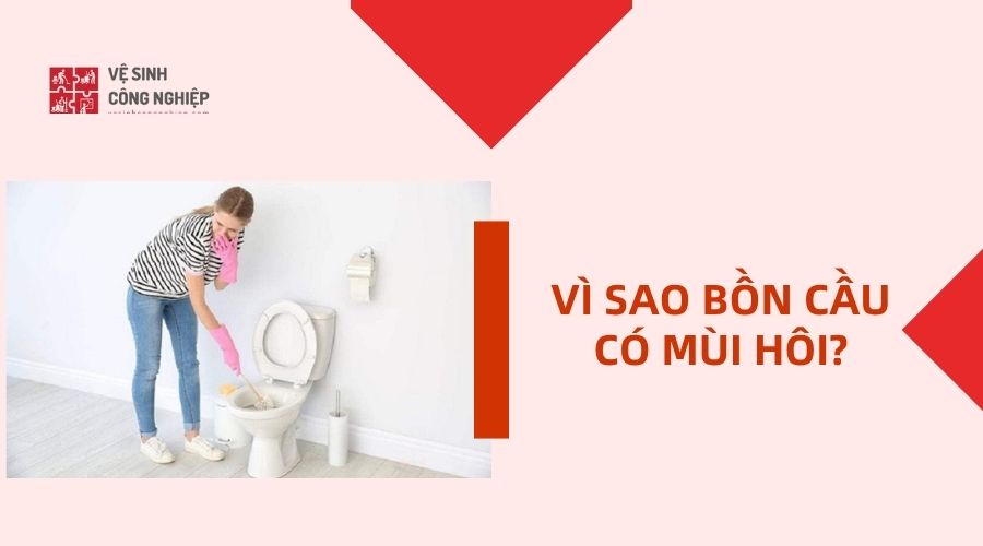 vì sao bồn cầu có mùi hôi