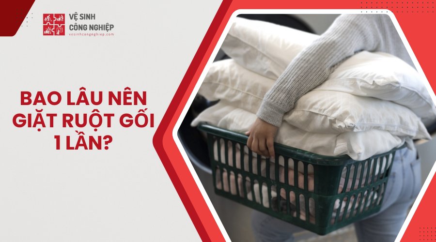 bao lâu nên giặt gối 1 lần