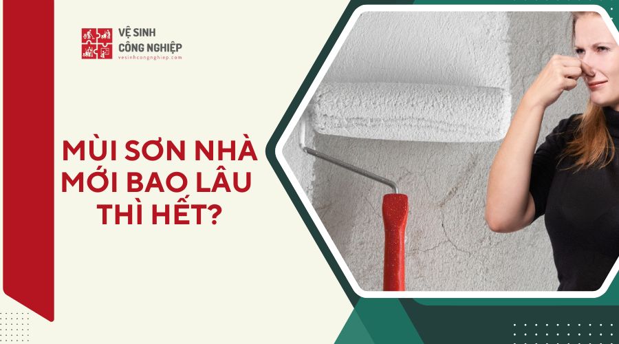 khử mùi nhà mới sơn