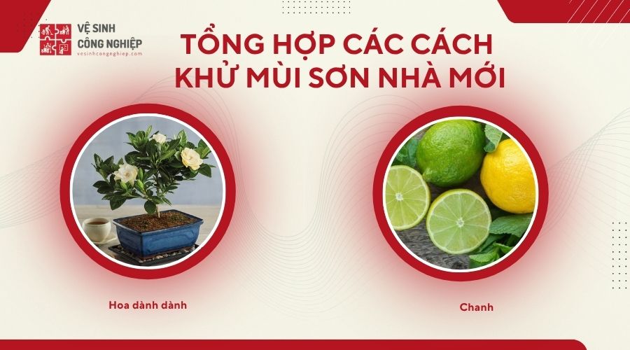 khử mùi nhà sơn mới 