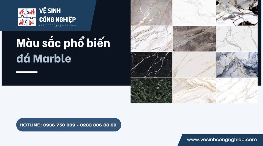 màu sắc phổ biển đá marble 