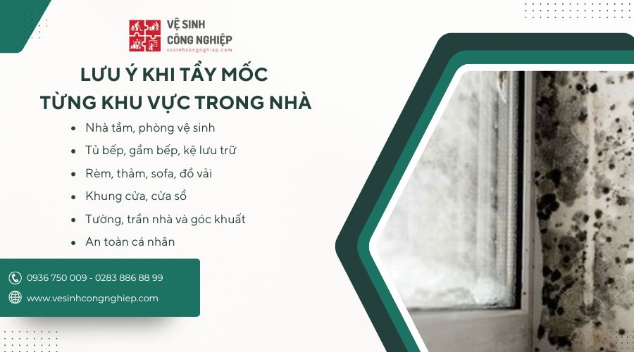lưu ý tẩy mốc từng khu vực trong nhà 