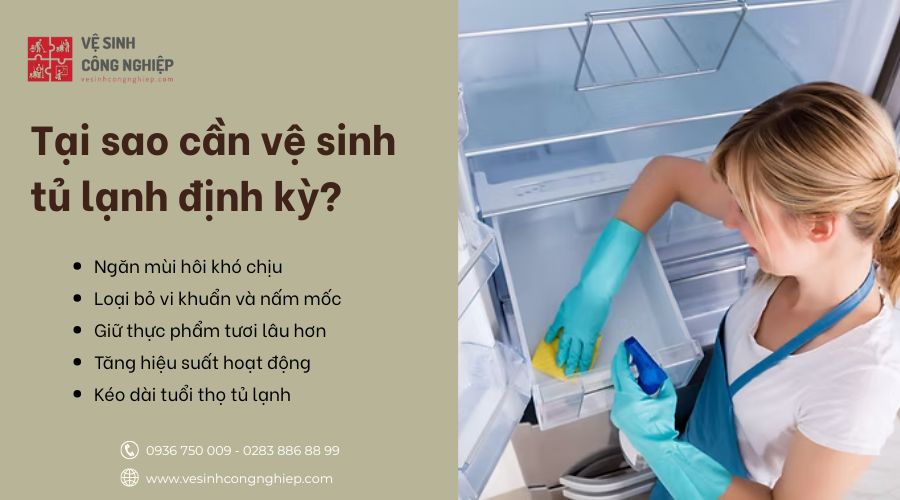 tại sao cần vệ sinh tủ lạnh 
