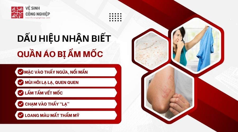 dấu hiệu nhận biết quần áo bị ẩm mốc