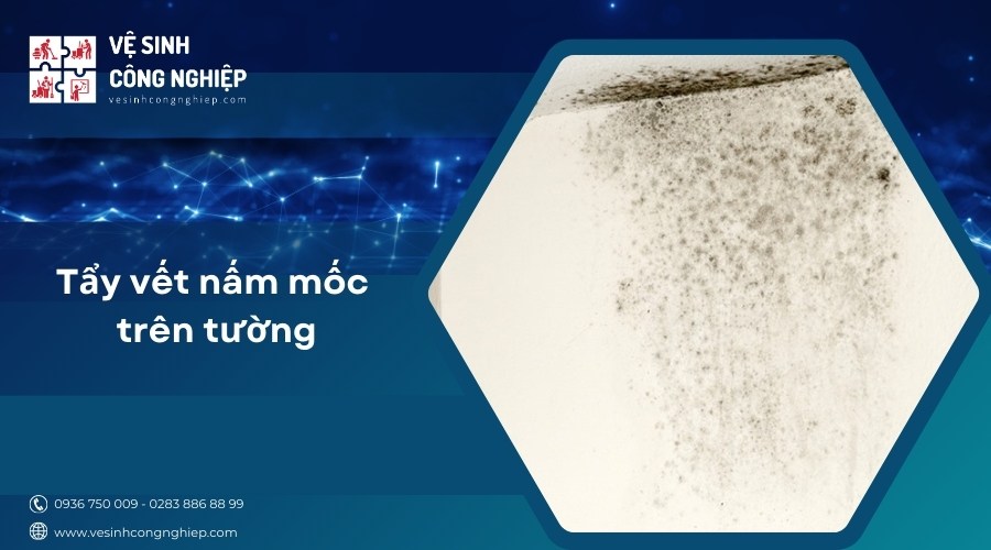 tẩy vết nấm mốc trên tường