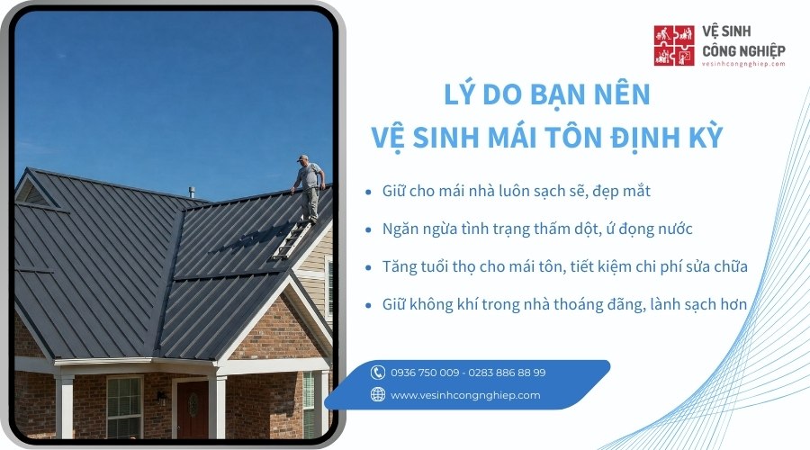 lý do nên vế sinh mái tôn