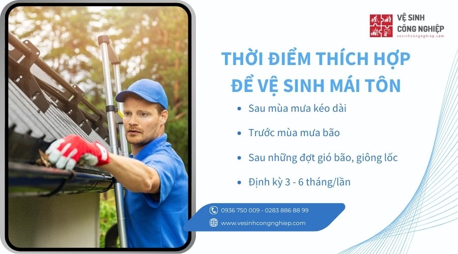 thời điểm thích hợp để vế sinh mái tôn 