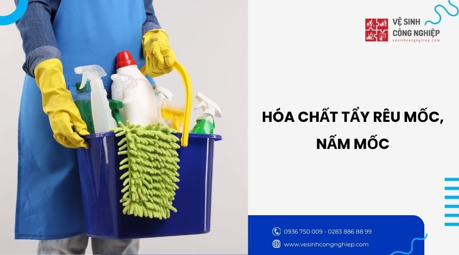 hóa chất tẩy rêu, nấm mốc