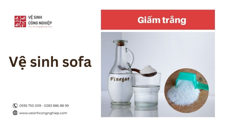 vệ sinh sofa bằng giấm trắng