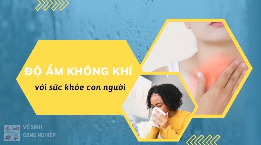 Độ ẩm là một phần quan trọng có ảnh hưởng lớn tới sức khỏe con người