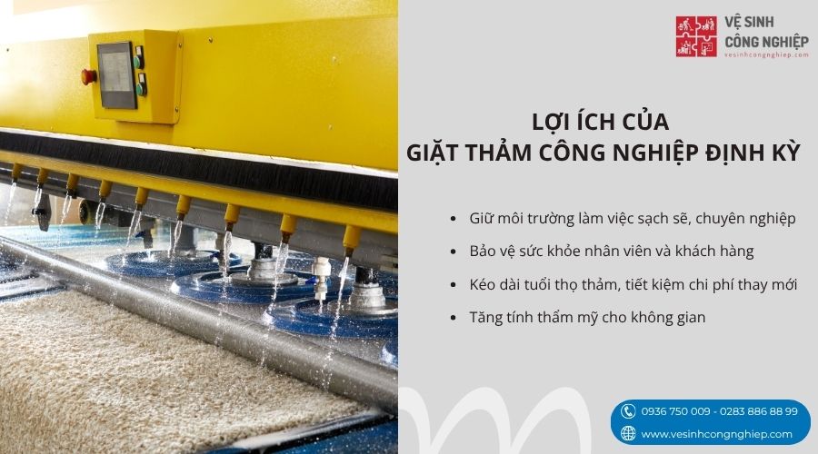 lợi ích của giặt thảm công nghiệp định kỳ