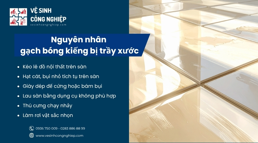 nguyên nhân gạch bóng kiến bị trầy