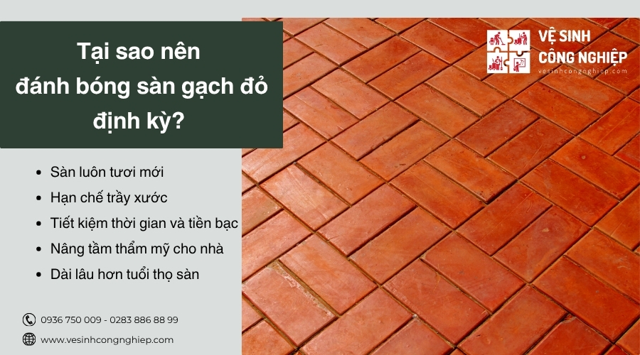 tại sao nên đánh bóng sàn gạch đỏ định kỳ 