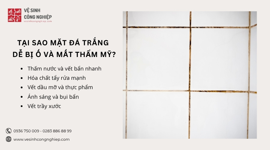 tại sao mặt đá trắng bị ố