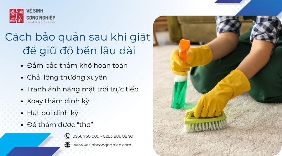 cách bảo quản thảm sau khi giặt