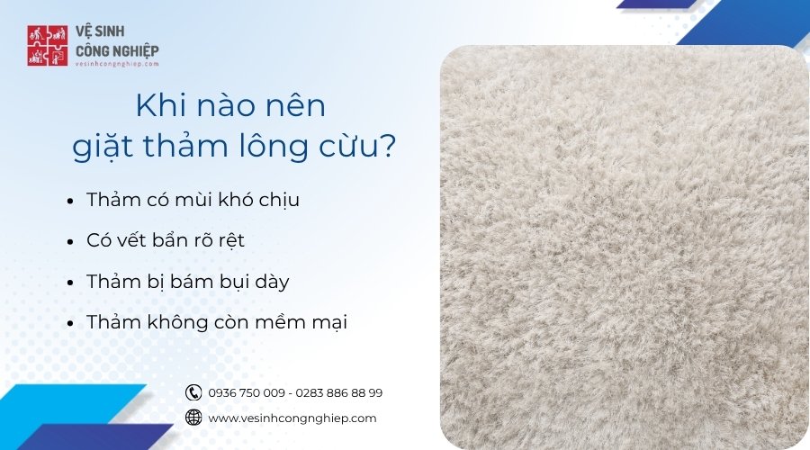 khi nào nên giặt thảm lông cừu