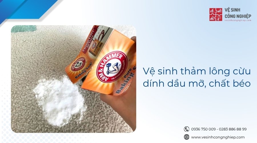 vệ sinh thảm lông cừu dính dầu mỡ chất béo