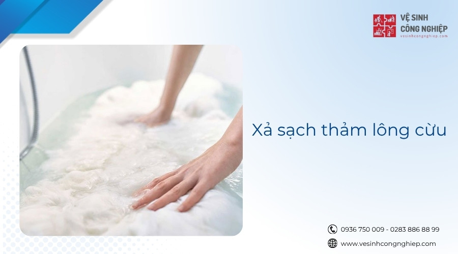 xả sạch thảm lông cừu