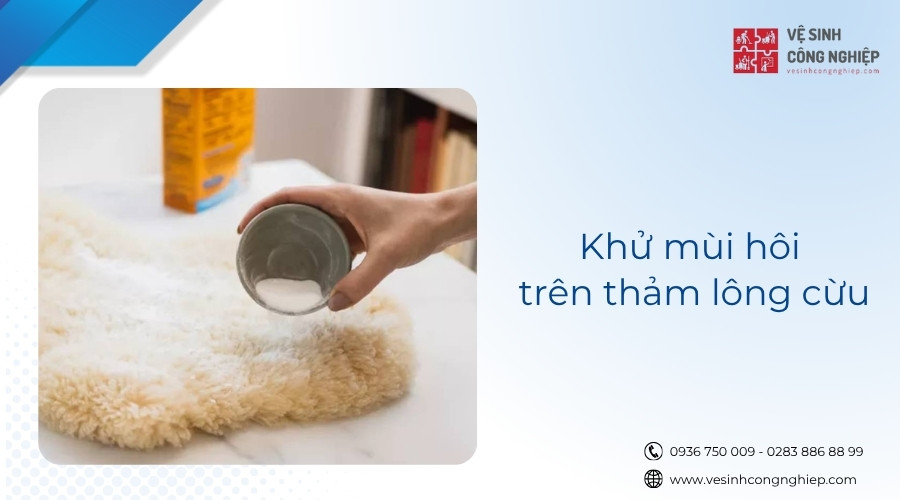 khử mùi hôi trên thảm lông cừu