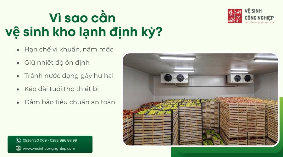 vì sao cần vệ sinh kho lạnh định kỳ