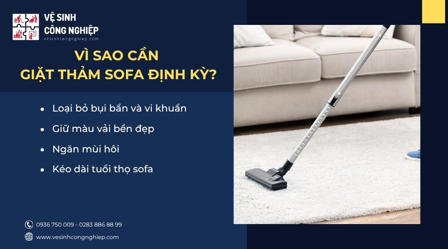 vì sao cần giặt thảm sofa định kỳ