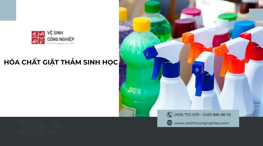 hóa chất giặt thảm sinh học