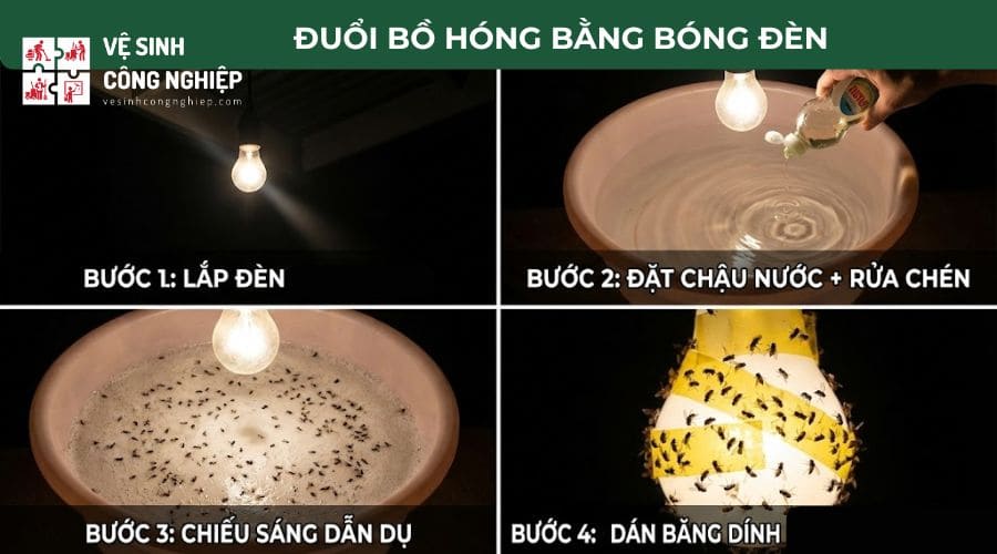 Cách đuổi bồ hóng bằng bóng đèn