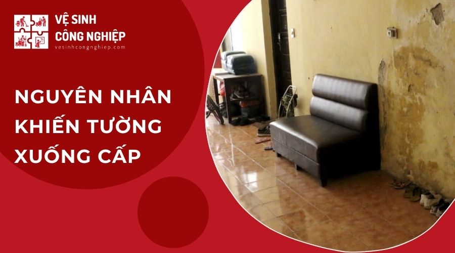 Nguyên nhân khiến tường xuống cấp