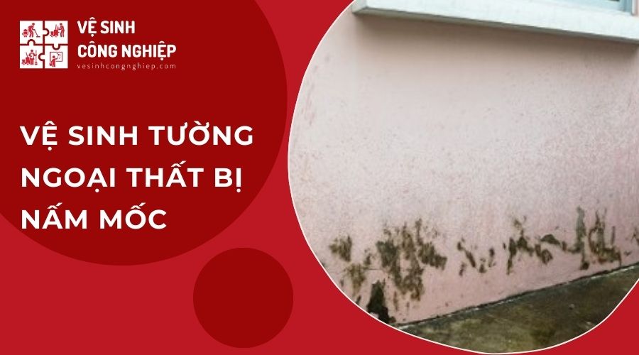 Vệ sinh tường ngoại thất bị nấm mốc