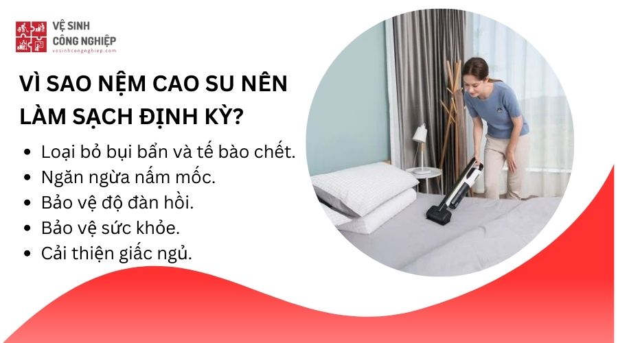 Vì sao nệm cao su nên làm sạch định kỳ?