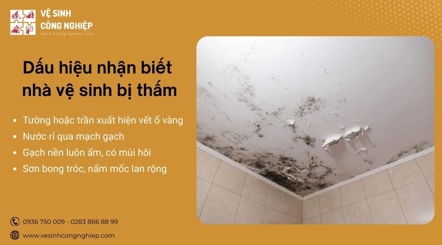 Dấu hiệu nhận biết nhà vệ sinh bị thấm nước