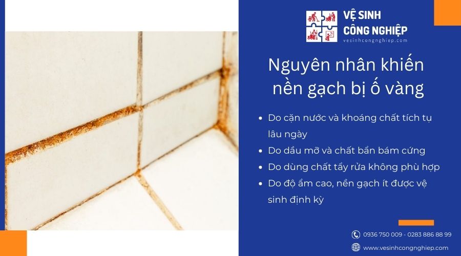 Nguyên nhân làm cho nền gạch bị ố vàng