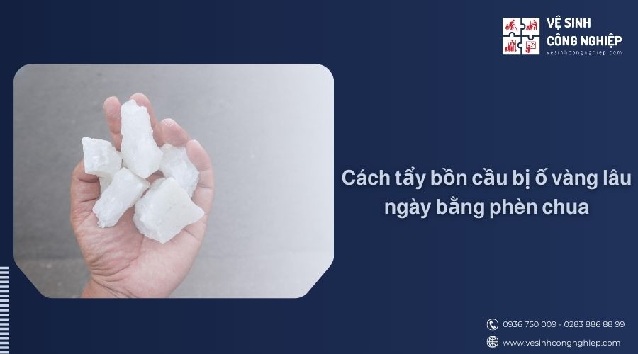 Cách tẩy bồn cầu bị ố vàng lâu ngày bằng phèn chua