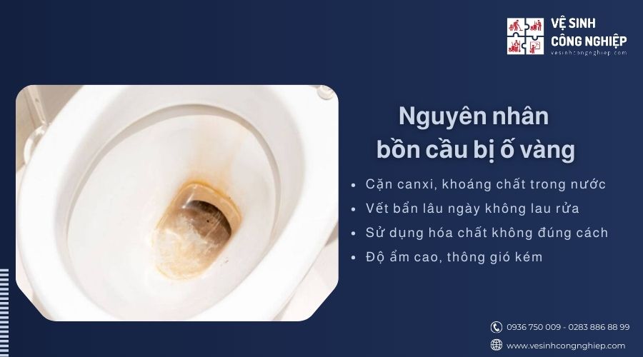 Bồn cầu bị ố vàng do cặn canxi trong nước máy