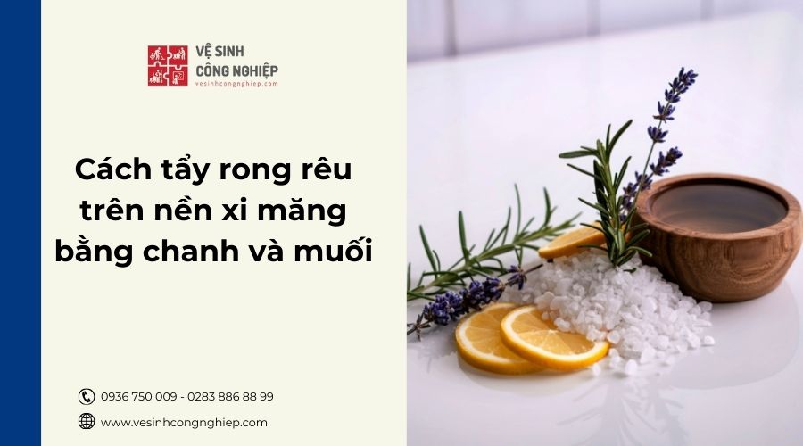 Cách tẩy rong rêu trên nền xi măng bằng chanh và muối đơn giản