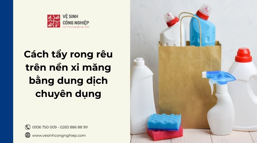 Tẩy rong rêu trên nền xi măng nhanh chóng bằng dung dịch chuyên dụng