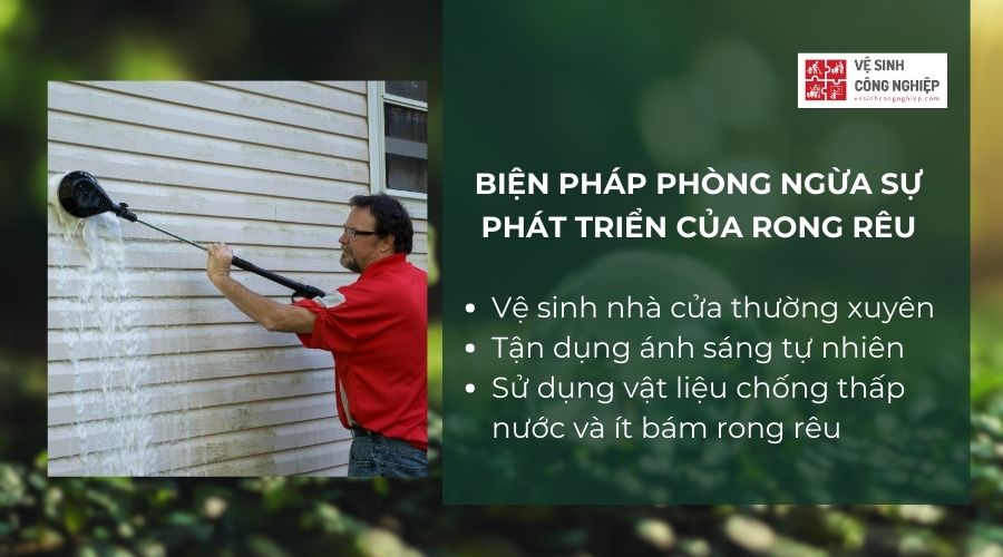 Biện pháp phòng ngừa sự phát triển của rong rêu