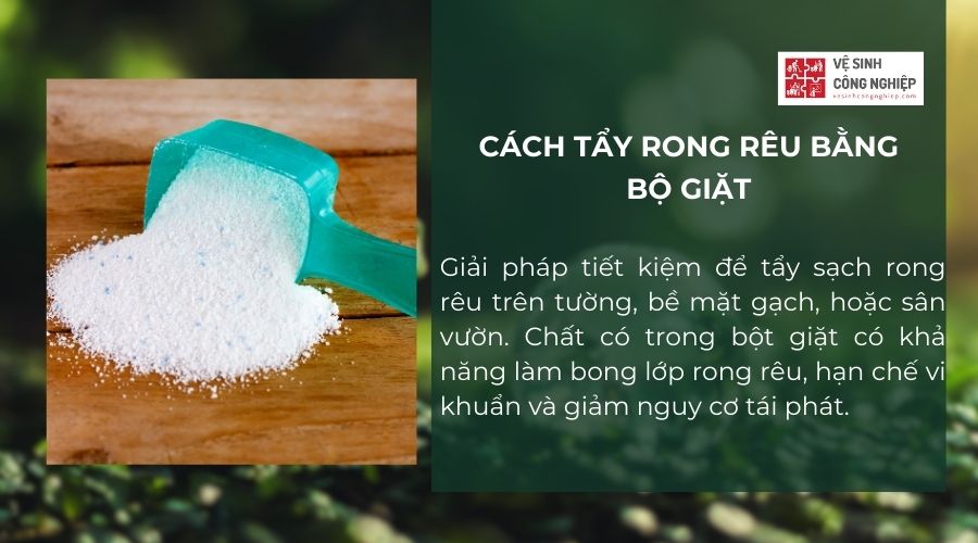 Sử dụng bột giặt đồ để tẩy rong rêu