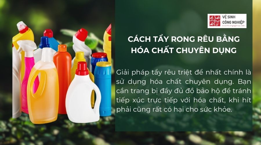 Tẩy rong rêu bằng hóa chất chuyên dụng